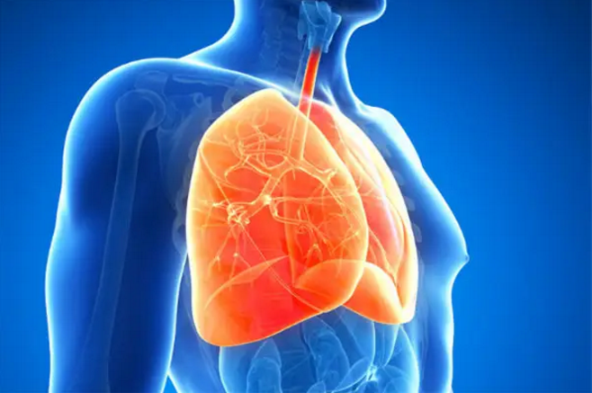导致肺纤维化的原因有哪些，干细胞对肺纤维化效果好吗
