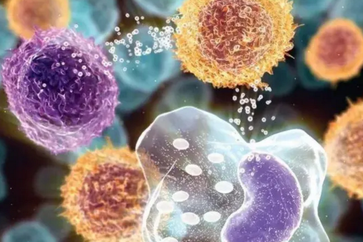 促吞噬肽对癌症病人效果怎么样