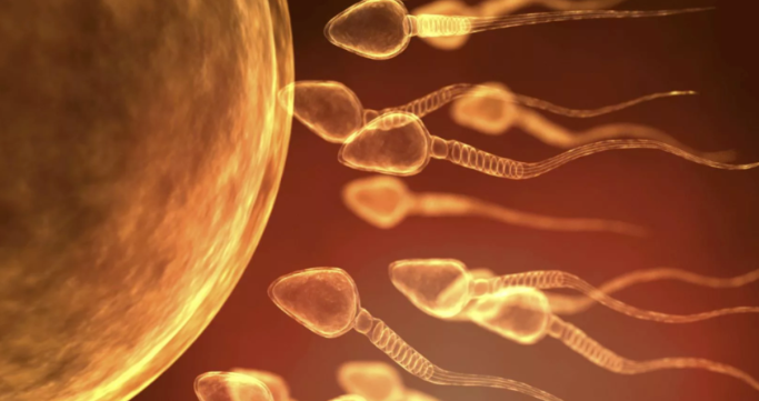 卵巢早衰现状有哪些，干细胞注射能治疗卵巢早衰吗