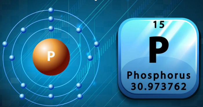 磷在身体中的作用.png
