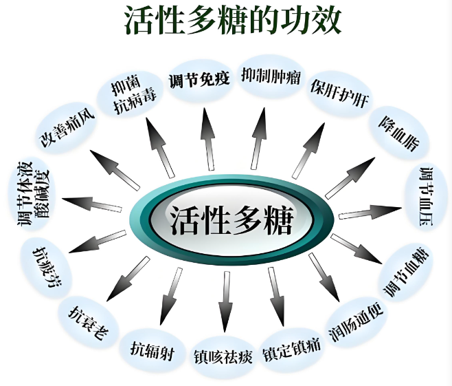 生物活性多糖的主要作用, 活性多糖适合什么人吃？