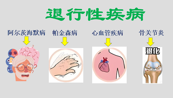 活性肽与预防退行性疾病的关系