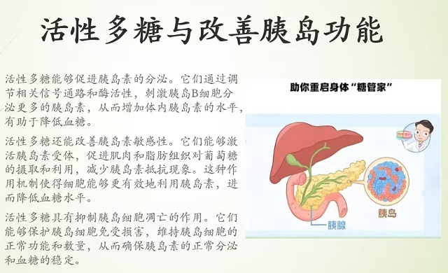 活性多糖调节血糖的机制,活性多糖调理糖尿病效果好吗?