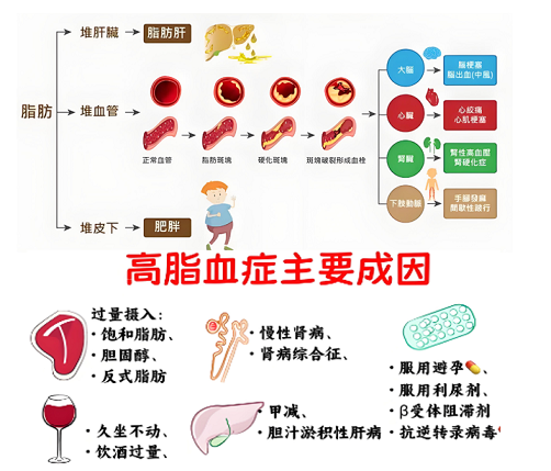 活性肽调节糖代谢的原理,活性肽调节糖代谢应用效果怎么样？