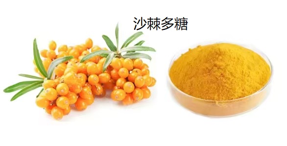 沙棘对肠道疾病有作用吗,吃沙棘多糖能增强肠胃功能吗？
