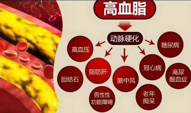 人参牛骨髓复合肽对降血脂降血糖的作用——品牌人参牛骨髓复合肽全国加盟
