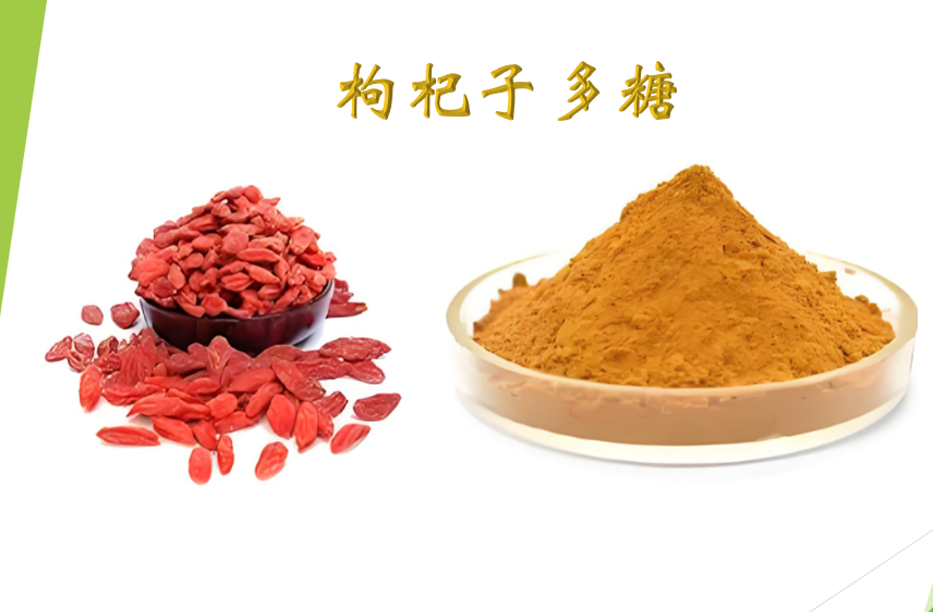 枸杞多糖在抗氧化和抗衰老作用及应用分析