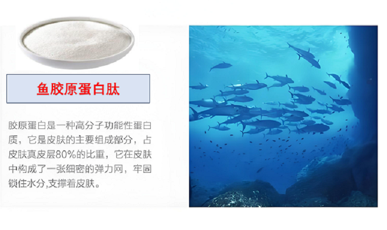 鱼胶原蛋白肽能改善睡眠吗,鱼胶原蛋白肽好吸收吗?