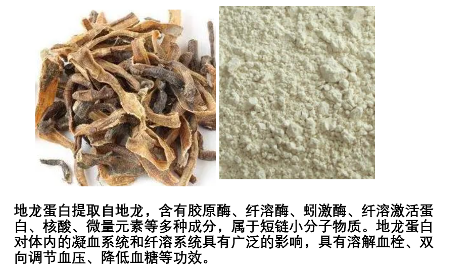 地龙蛋白肽对高血压的作用功能,吃地龙蛋白肽降血压效果好吗?