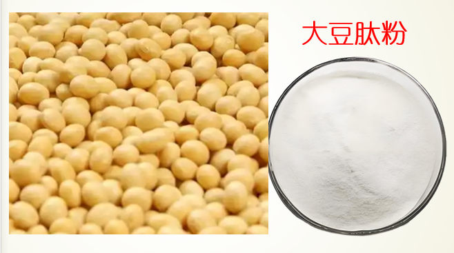 大豆肽能调节血糖吗,糖尿病可以吃豆肽吗？