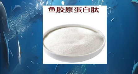 鱼胶原蛋白肽对高血脂的作用,鱼胶原蛋白肽真能降低血脂吗?