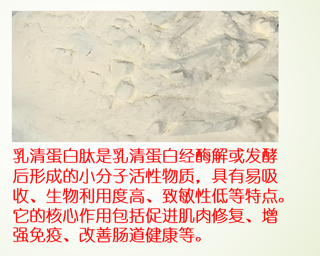 乳清蛋白肽能调节血糖吗,乳清蛋白肽粉糖尿病人可以喝吗?