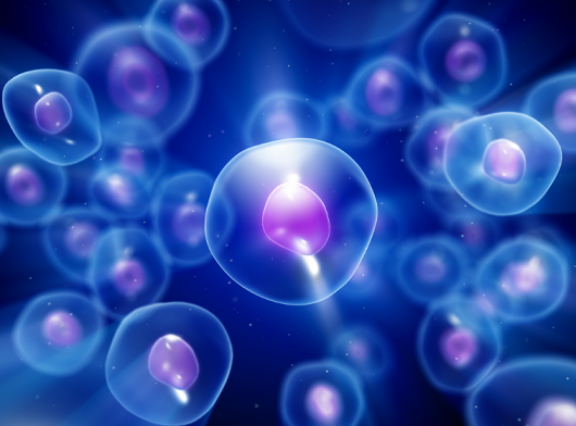 细胞营养疗法的应用有哪些,活性肽对营养细胞的作用。