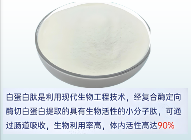 白蛋白肽的功效与作用,白蛋白肽能改善哪些状况？