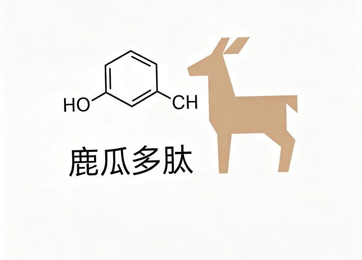 鹿瓜多肽的作用,鹿瓜多肽对骨质疏松有用吗?