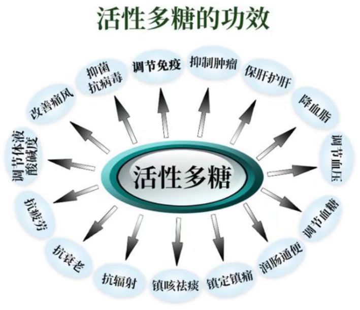 活性多糖能改善哪些亚健康问题,效果怎么样？