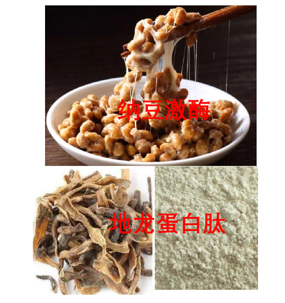 纳豆地龙蛋白肽维护血管弹性与血管内皮健康的分子作用,能调节血压吗?