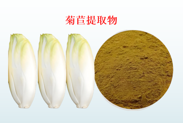 菊苣提取物对改善血脂代谢方面的作用,效果怎么样？