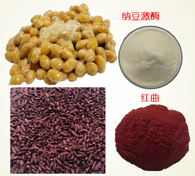 纳豆红曲对脂代谢调节的分子机制,纳豆红曲对高血脂有作用吗?