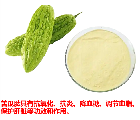 苦瓜多肽改善胰岛素抵抗的作用机制,苦瓜多肽能调节血糖吗？