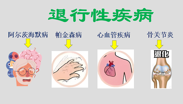 退行性疾病的共同病理,活性肽能预防退行性疾病吗？